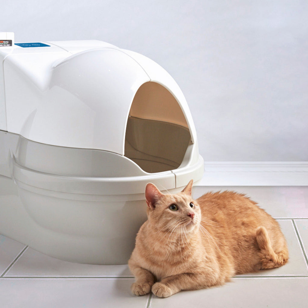 Why the CatGenie Whoosh Is the Best Automatic Litter Box on the Market